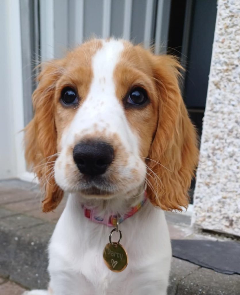 a46de953 1bf0 4a9d af76 c0340fc1ddd2